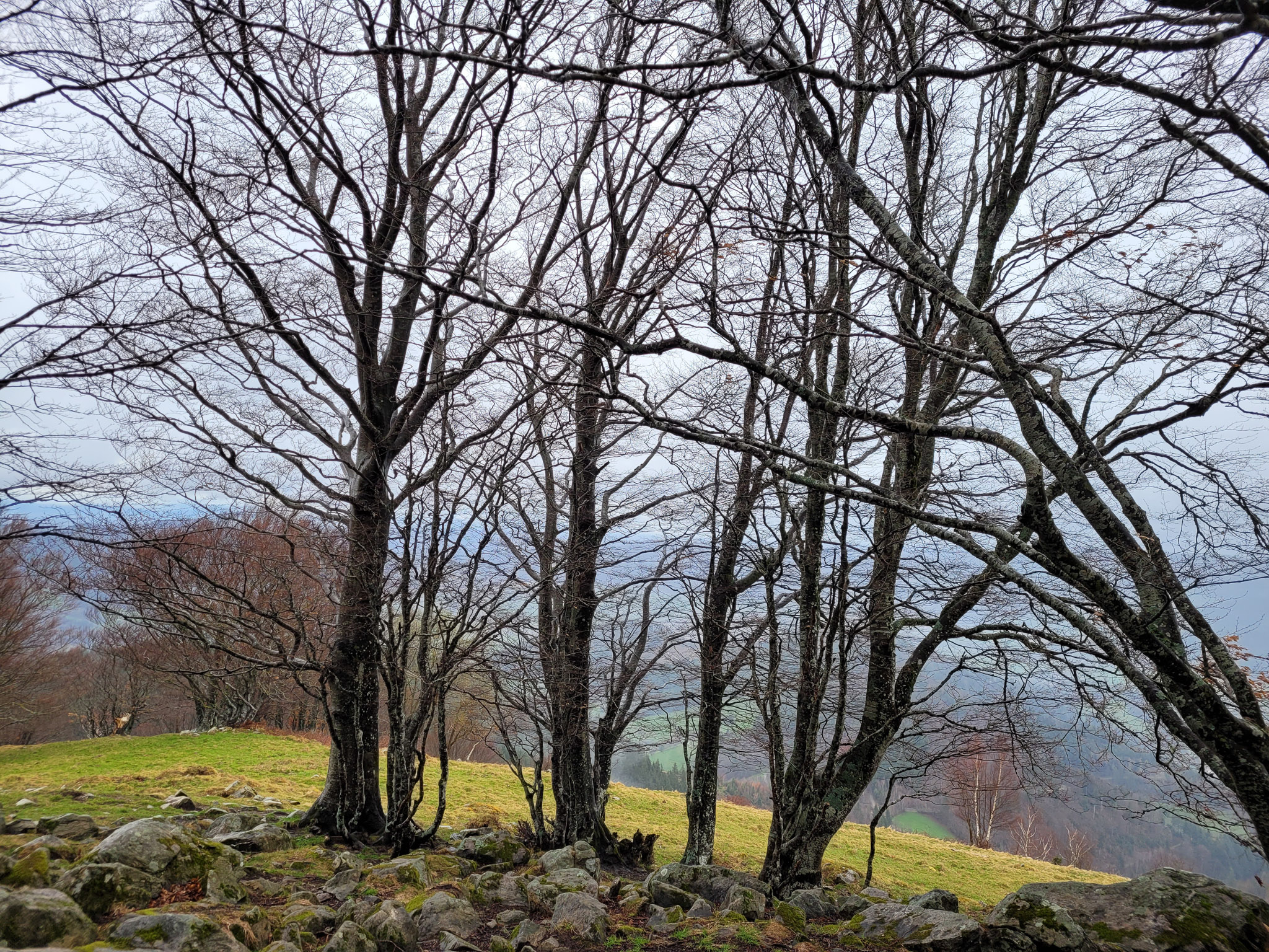 20230401150332 150332